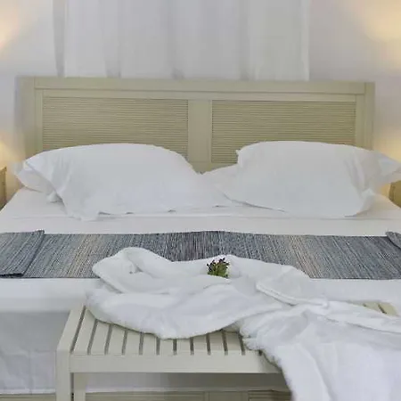 Hotel Paros By Kottas Naousa (Paros)