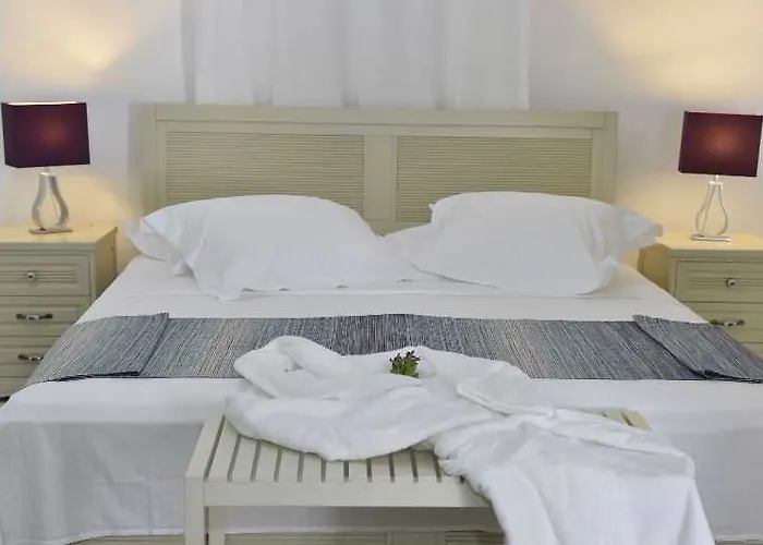 Hotel Paros By Kottas Naoussa